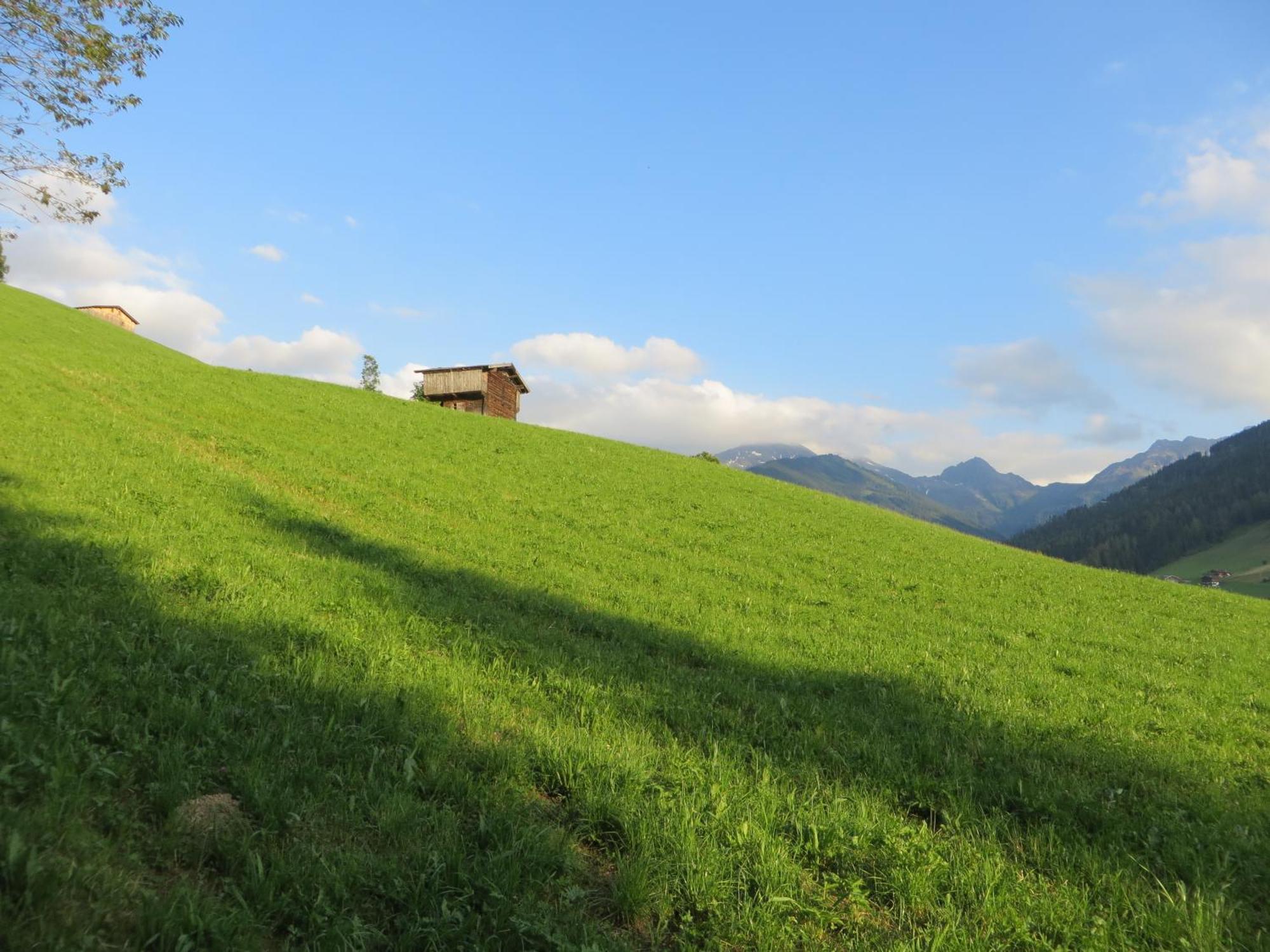 Pension Mühlbachhof Alpbach Exterior foto